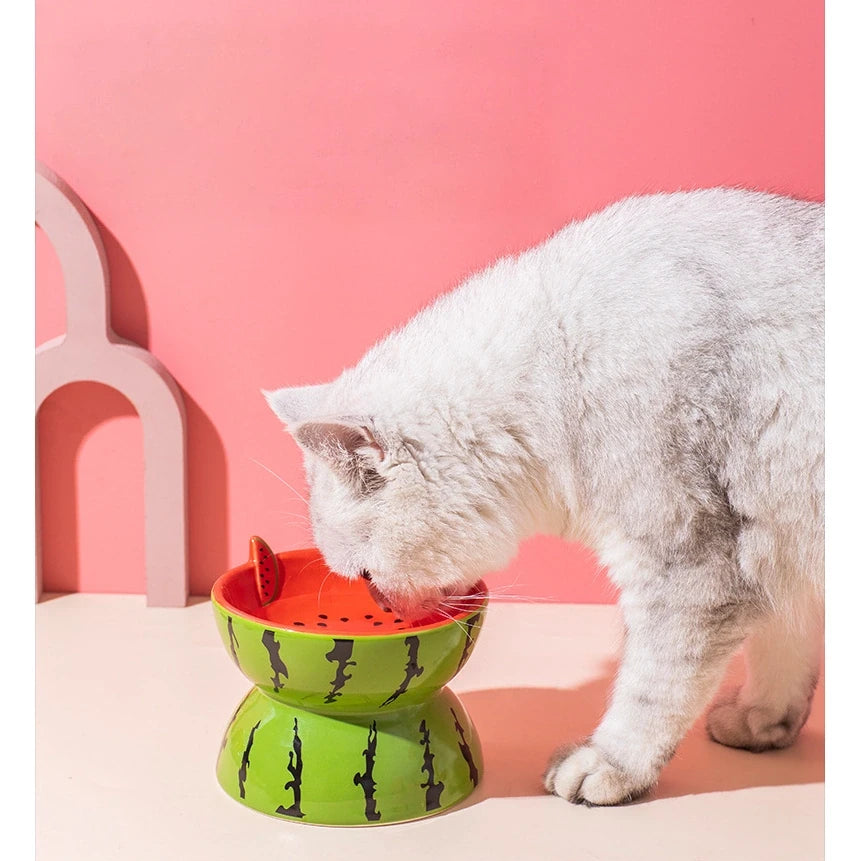 Fruit-Themed Ceramic Cat Bowl