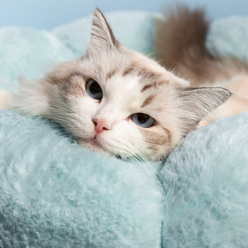 Super Soft Cat Bed Washable Flower Cushion