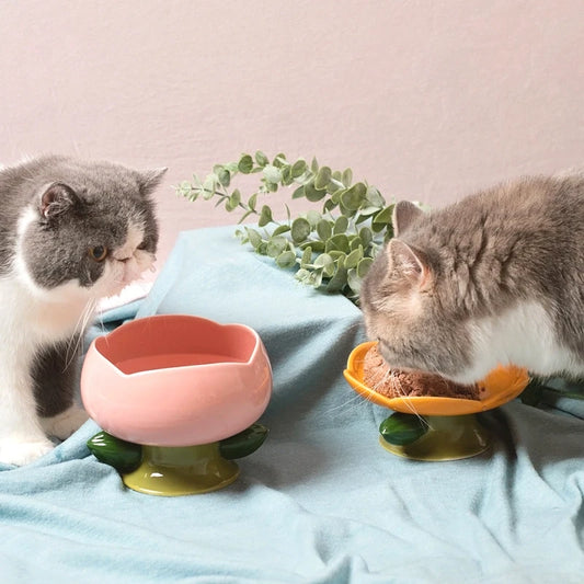 Flower-Shaped Ceramic Cat Bowl
