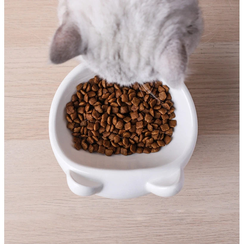 Colorful Prints Ceramic Cat Bowl