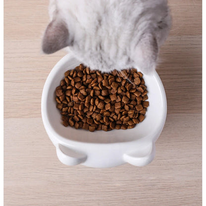 Colorful Prints Ceramic Cat Bowl
