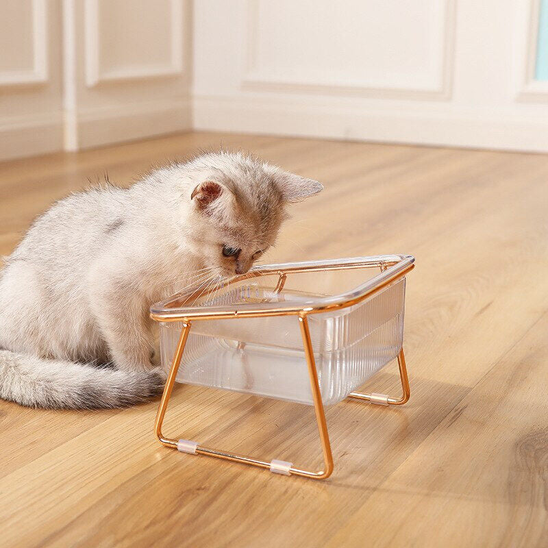 Non-slip Double Transparent Cat Bowl with Stand