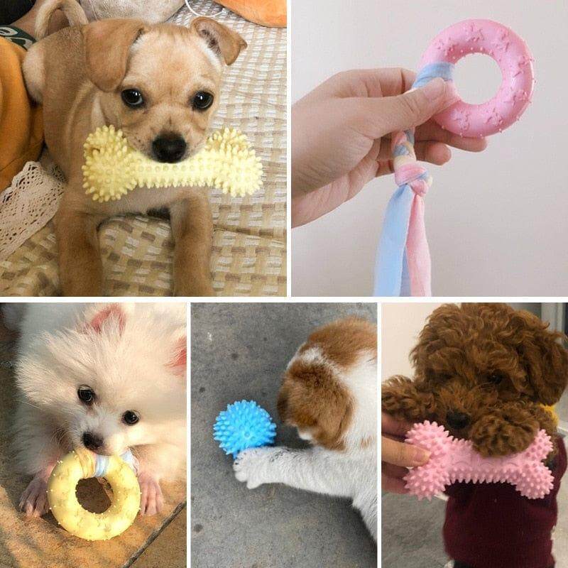 Chew Toy For Dogs -Buy 3 get 10% Off Extra Auto & Free Shipping