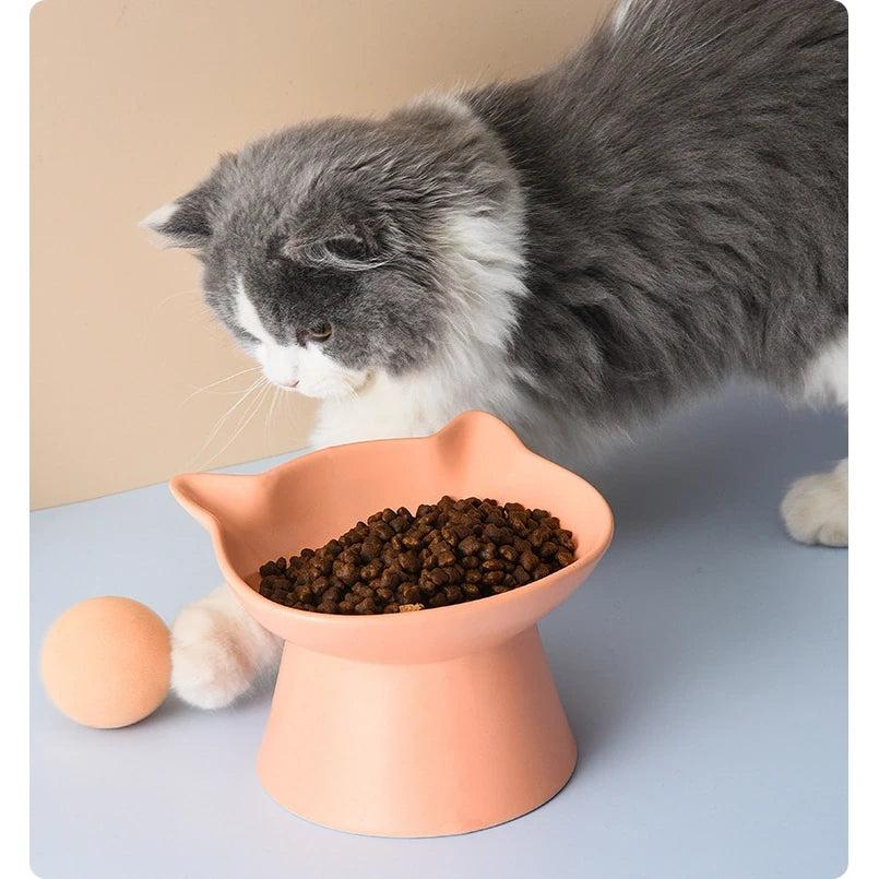Cat Head-Shaped Ceramic Cat Bowl