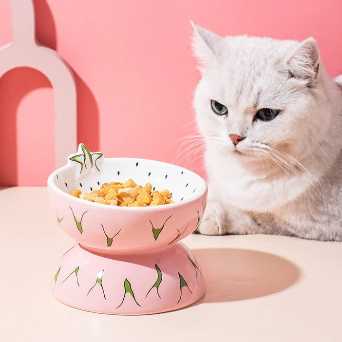 Fruit-Themed Ceramic Cat Bowl