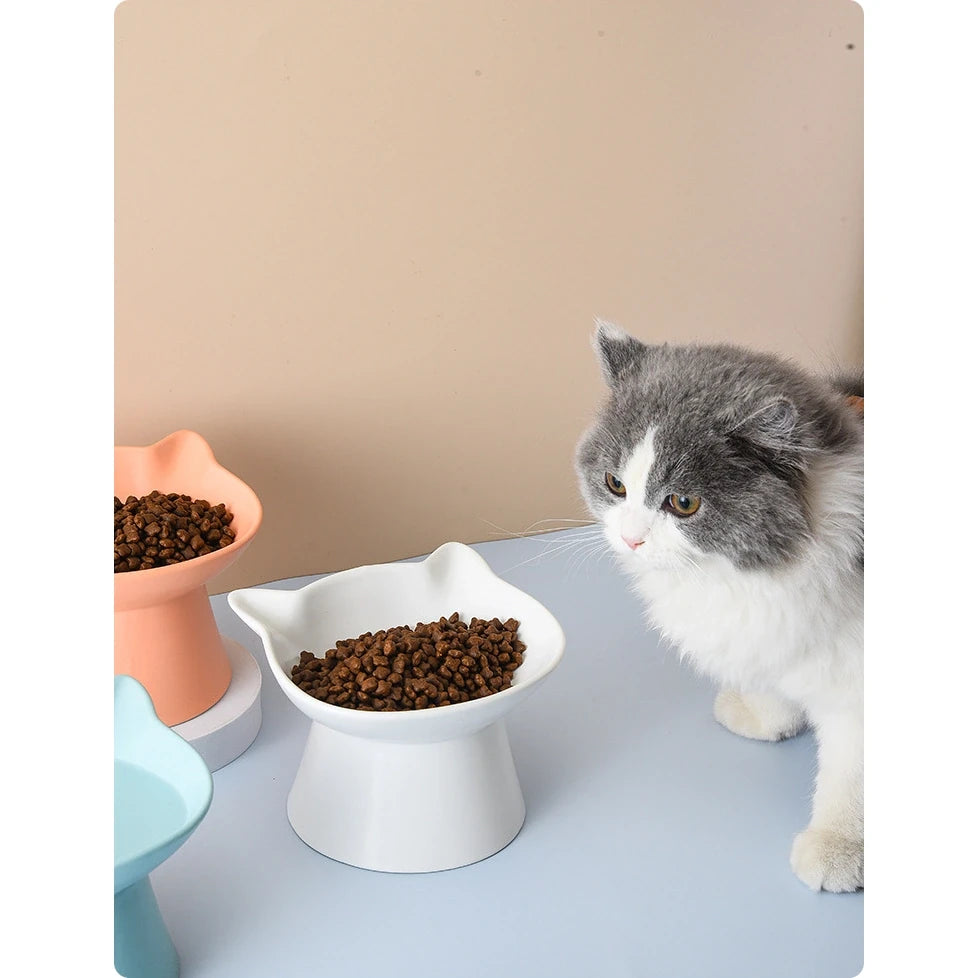 Cat Head-Shaped Ceramic Cat Bowl