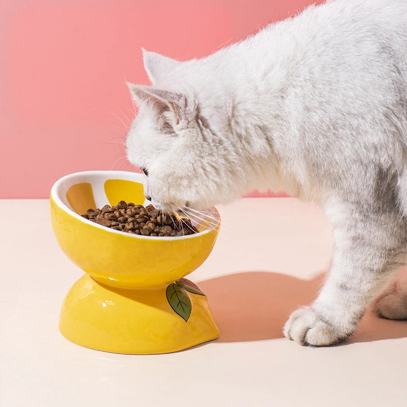 Fruit-Themed Ceramic Cat Bowl